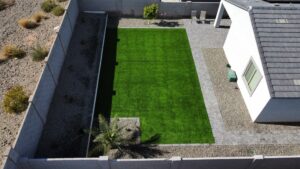 A backyard with a palm tree and a green lawn.