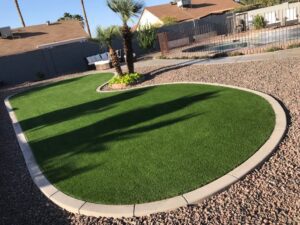 A backyard with a palm tree and some grass